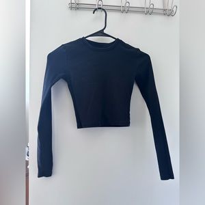 Aritzia Long Sleeve Ribbed Crop Top